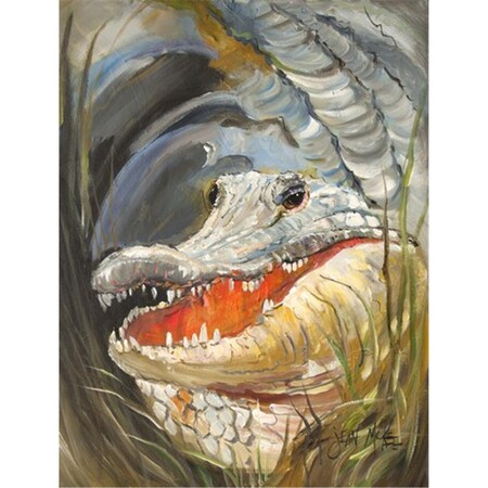 Carolines Treasures Alligator Flag Garden Size JMK1138GF